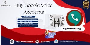 Buy Google Voice Accounts